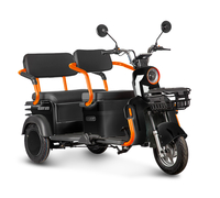 Gelbert Beta 48V/60V 800Вт